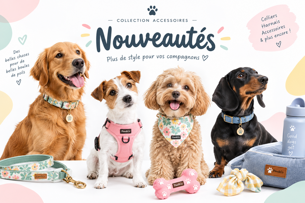 nouveauté