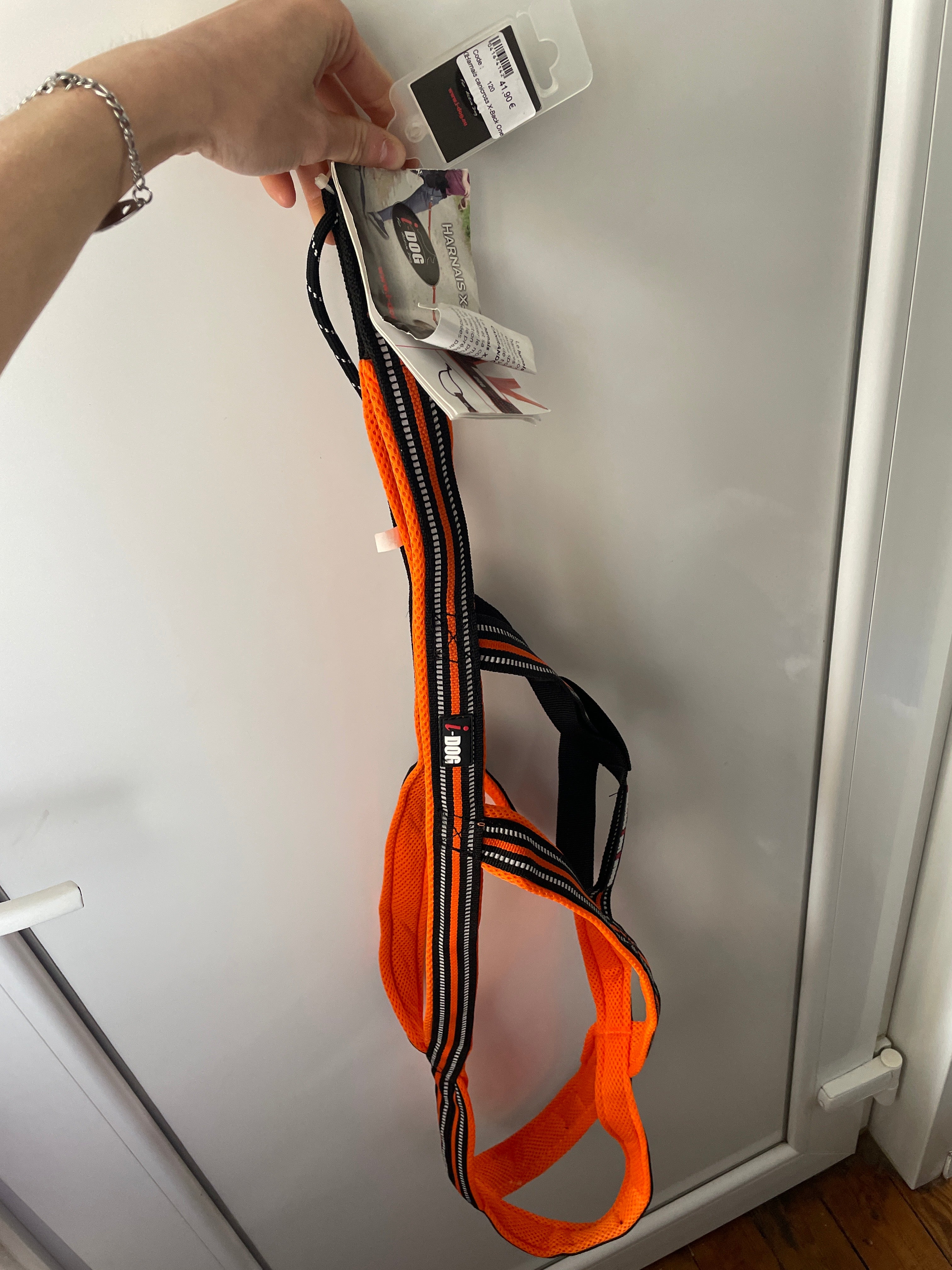 Harnais idog orange