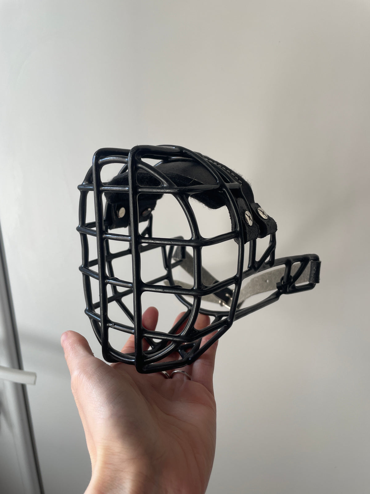 Muselière cage