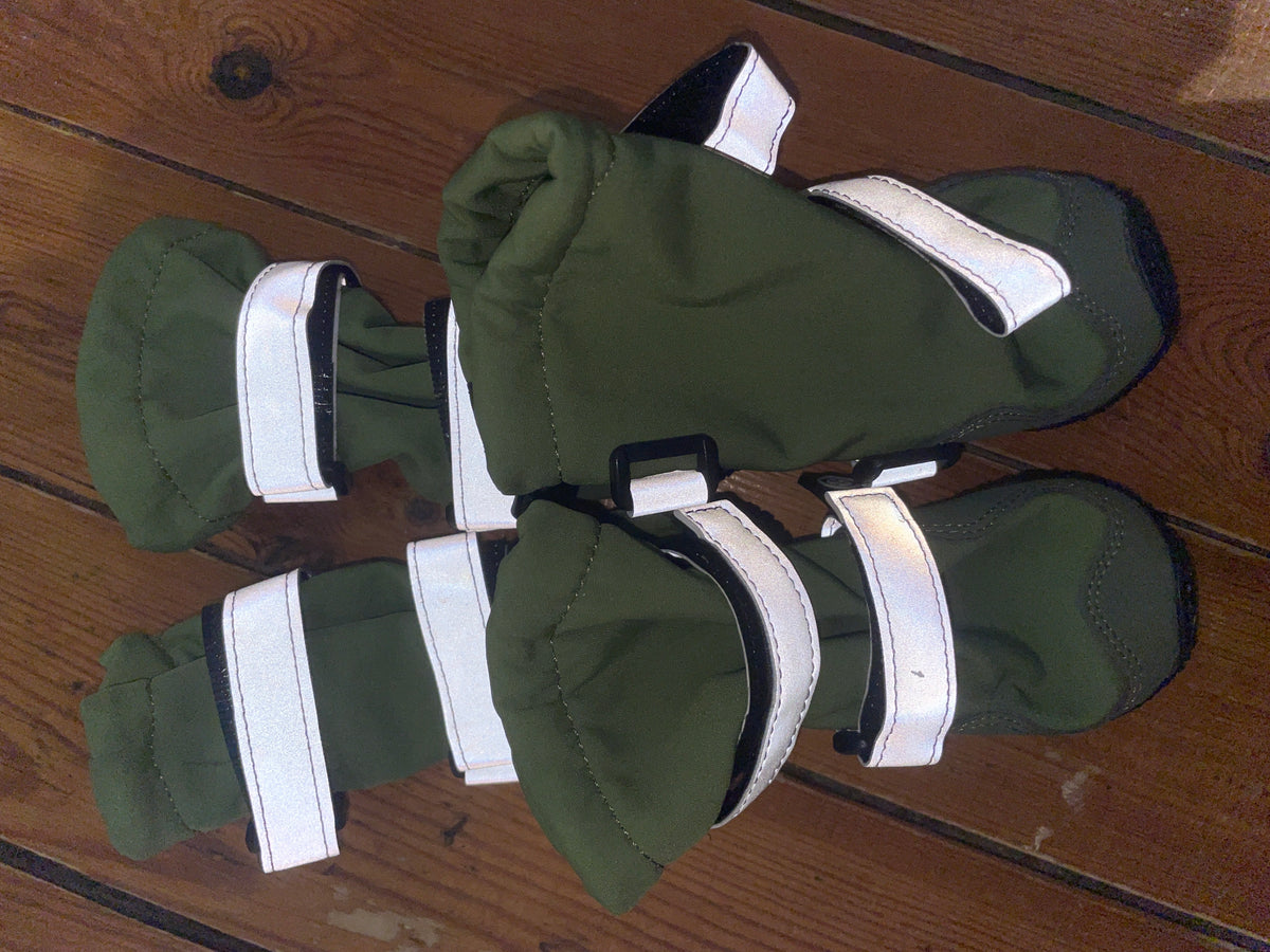 Chaussure