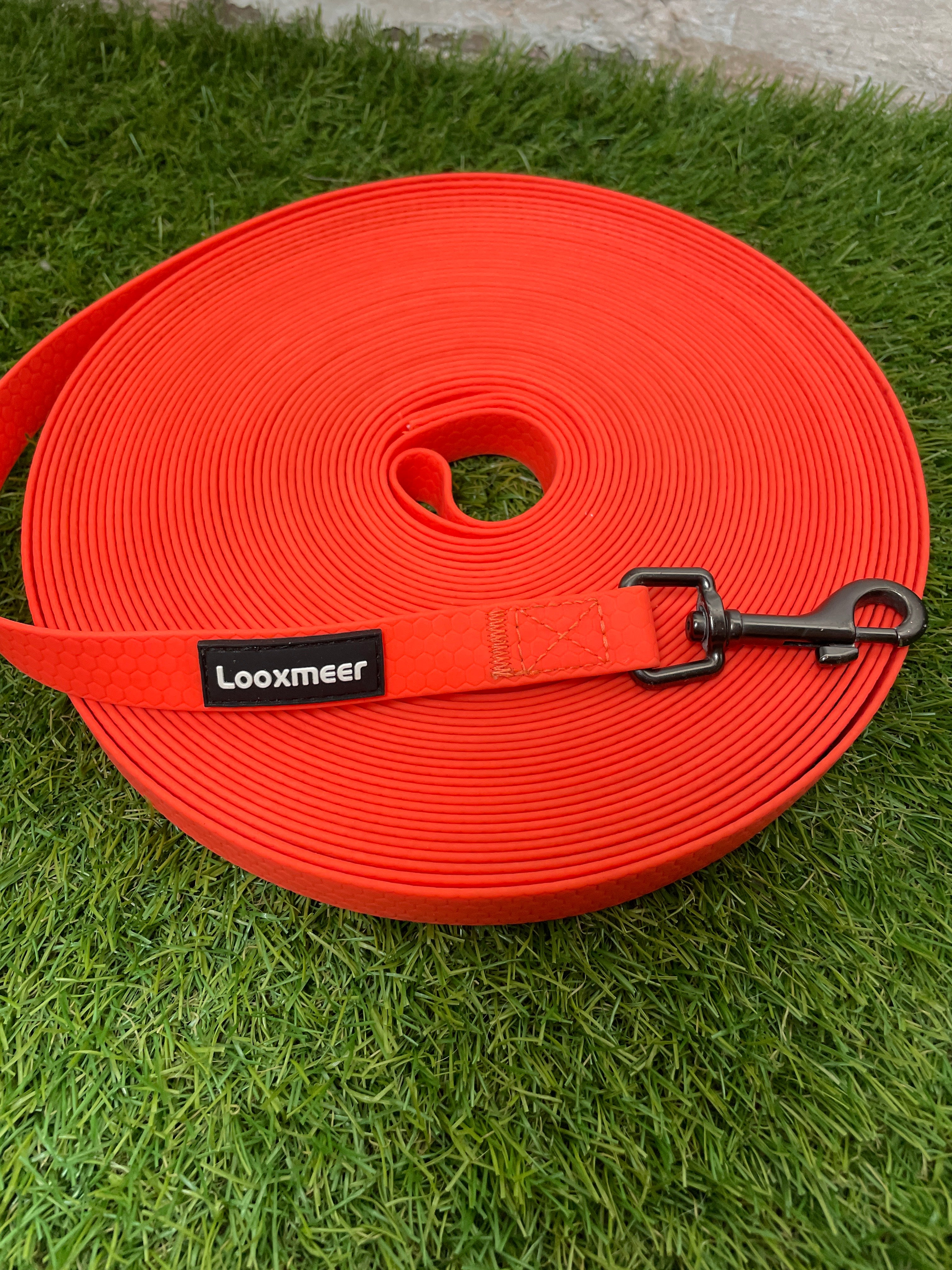 Longe orange