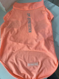 T shirt uv