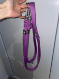 Laisse bully billows